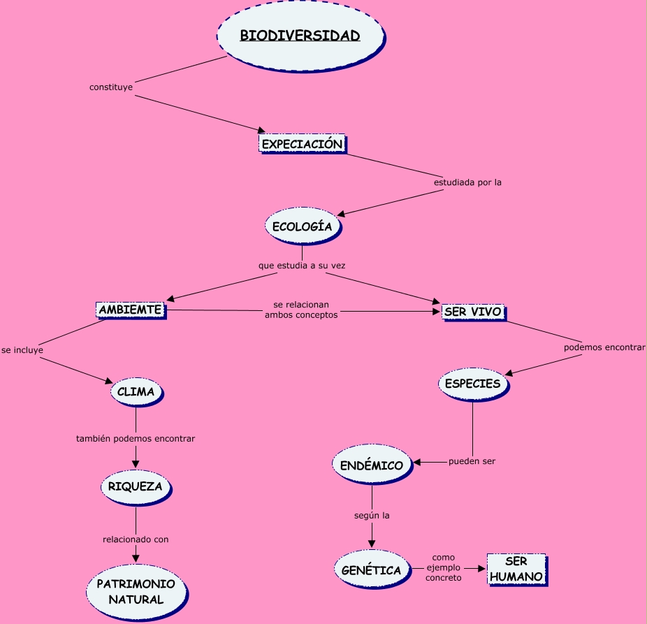 Didactica De Ciencias Naturales Mapas Conceptuales 6 Porn Sex Picture